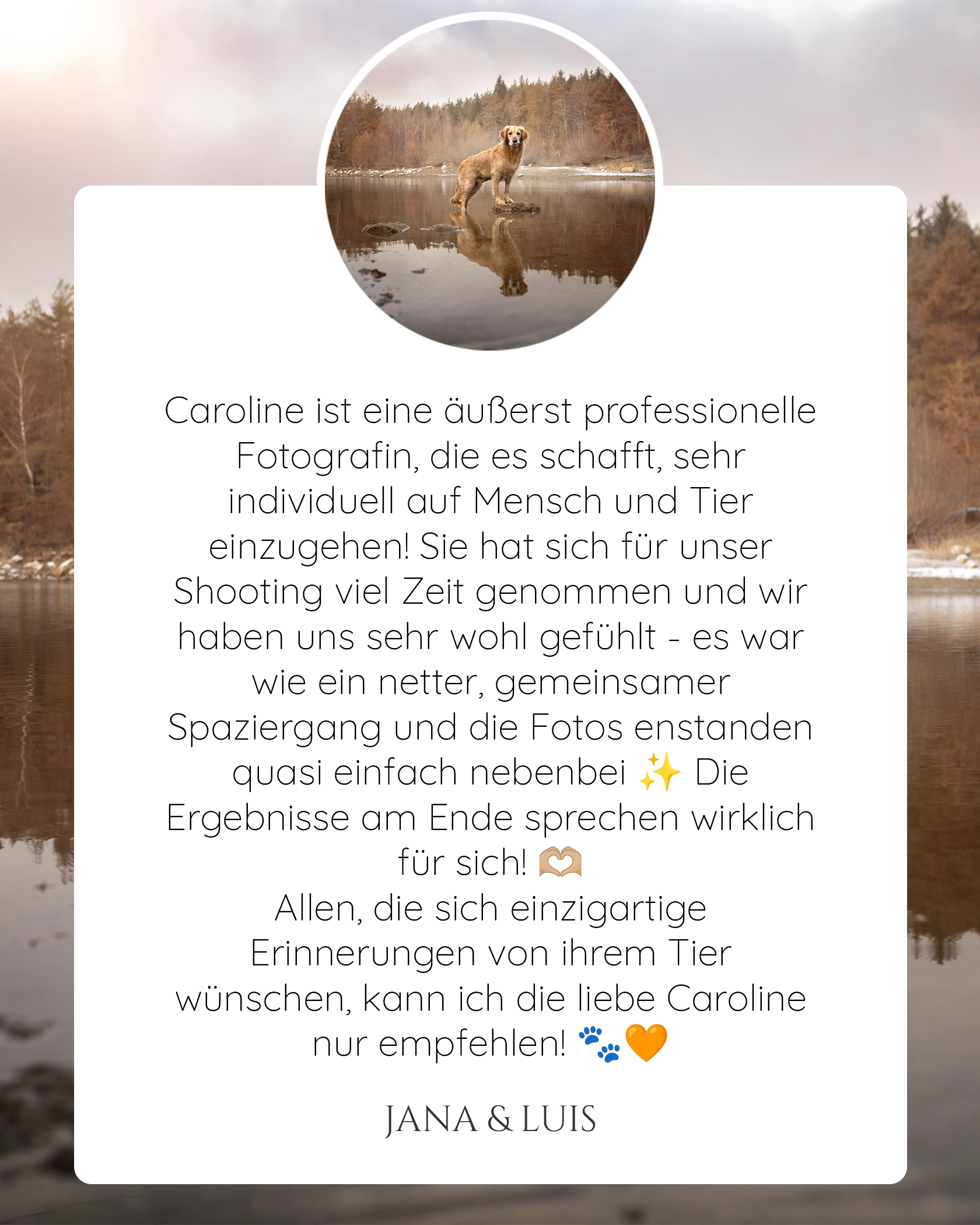 Pferdefotografie