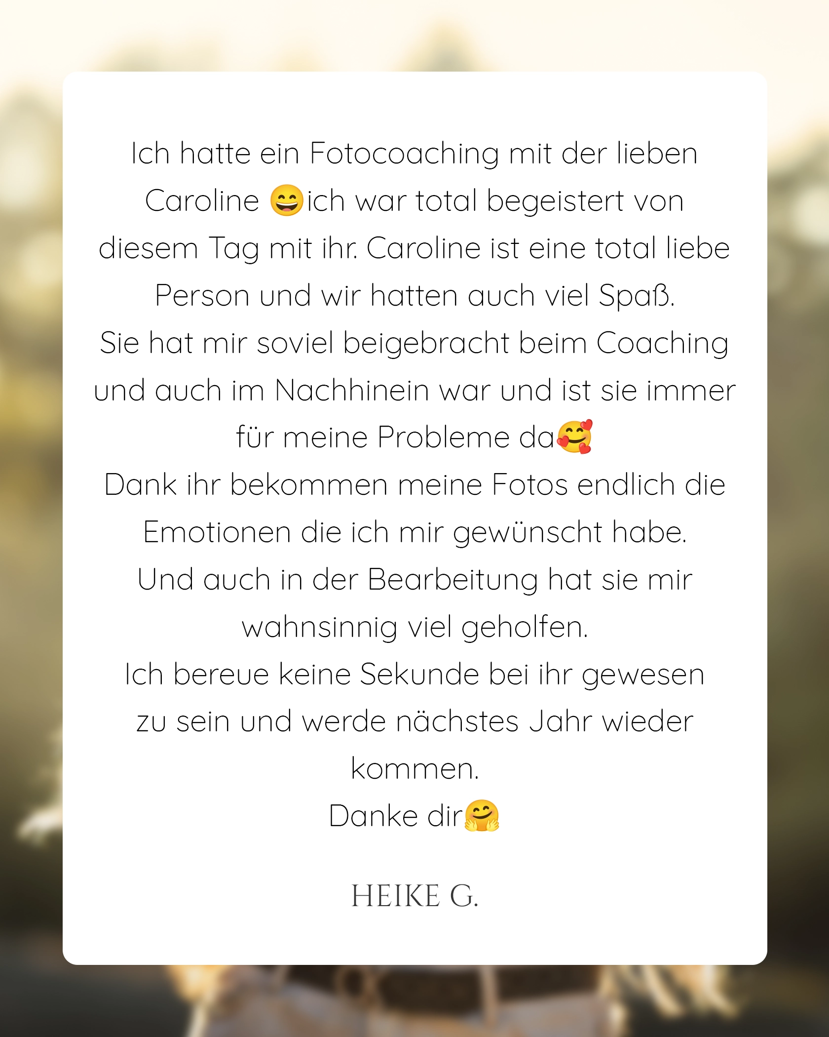 Pomeranian Zwergspitz